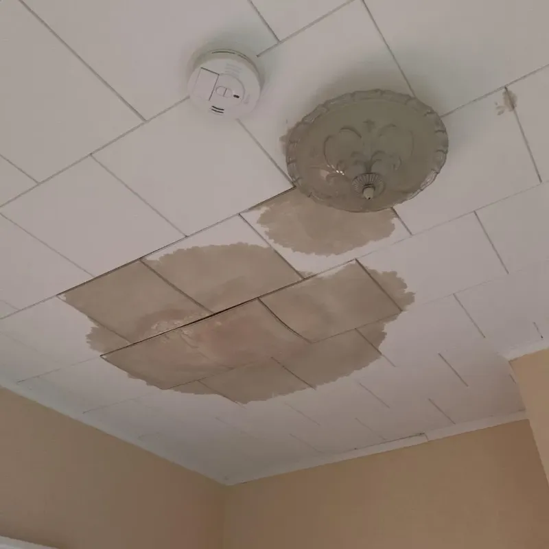 Ceiling Water Damage Repair in Arma, KS