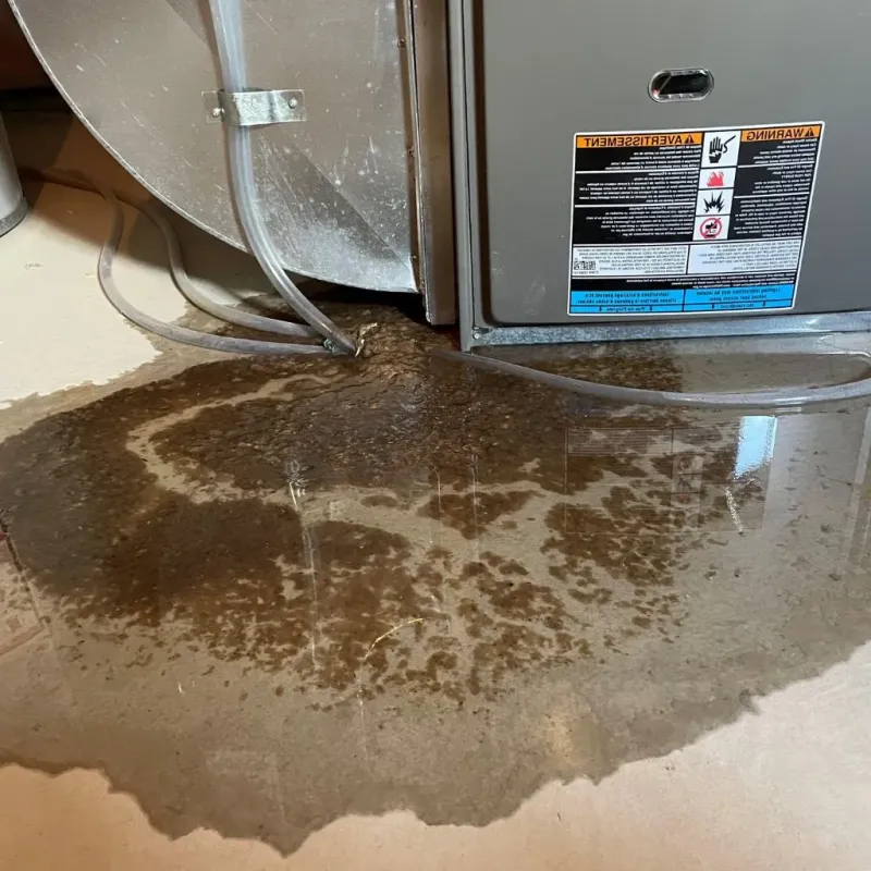 Pipe Burst and Leak Restoration in Arma, KS