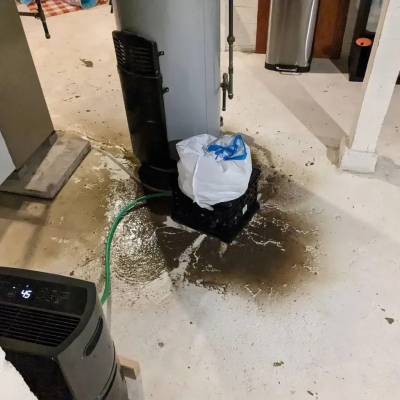 Sewage Backup Cleanup Service in Arma, KS
